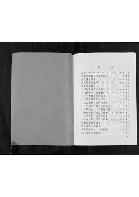 广西梁氏-梁莫村梁家姓族史[不分卷].pdf电子版插图1