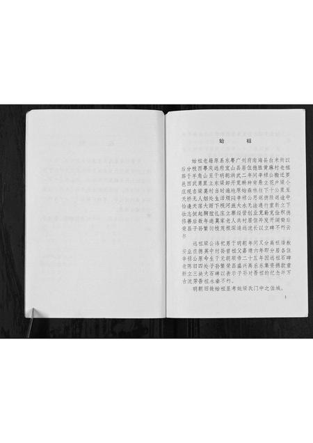 广西梁氏-梁莫村梁家姓族史[不分卷].pdf电子版插图3