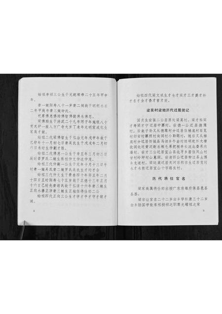 广西梁氏-梁莫村梁家姓族史[不分卷].pdf电子版插图4