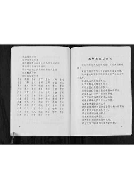 广西梁氏-梁莫村梁家姓族史[不分卷].pdf电子版插图5