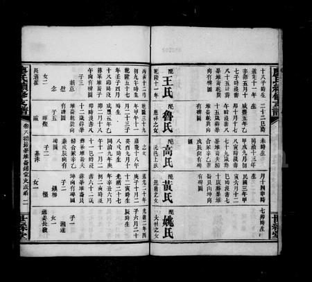 四川廖氏-资阳廖氏续修支谱.pdf电子版插图3