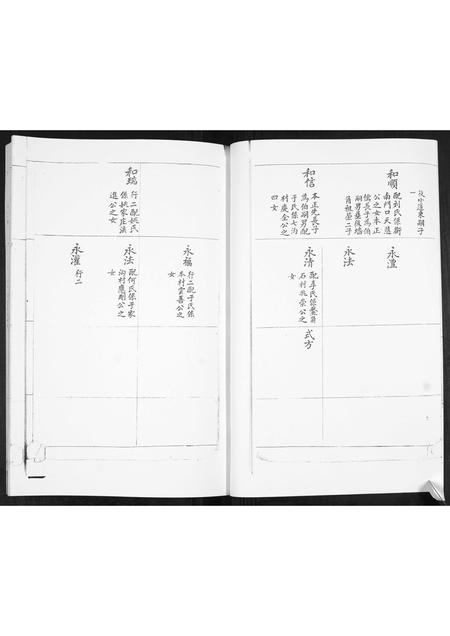 山东林氏-即墨林氏世谱[不分卷].pdf电子版插图2