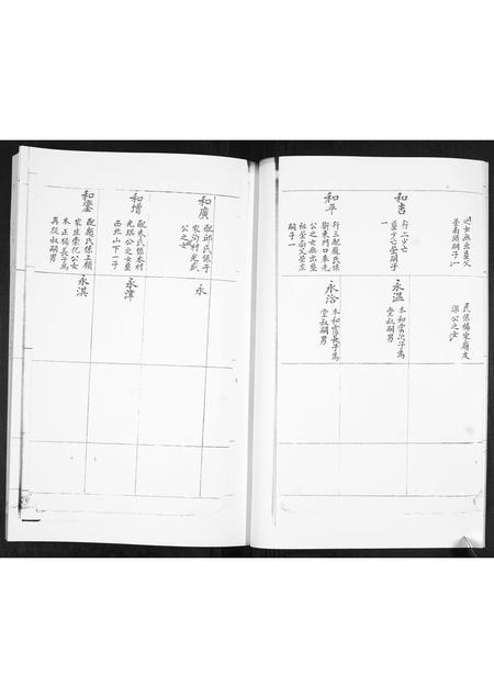山东林氏-即墨林氏世谱[不分卷].pdf电子版插图5