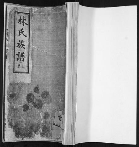 山东林氏-林氏族谱[2卷].pdf电子版插图