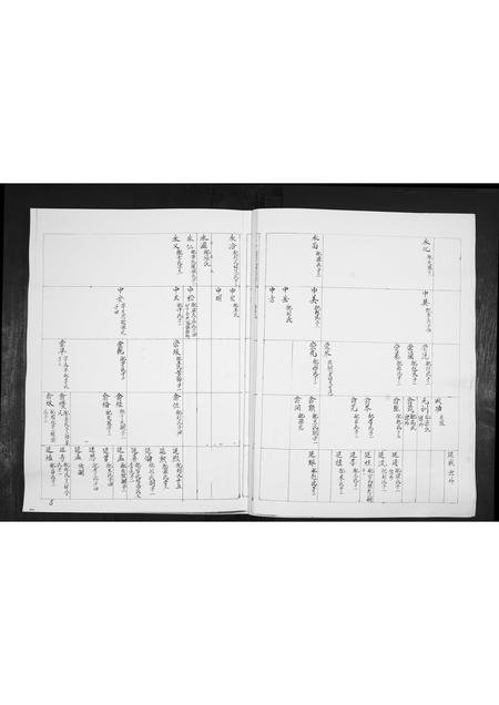 山东林氏-林氏族谱[不分卷].pdf电子版插图4