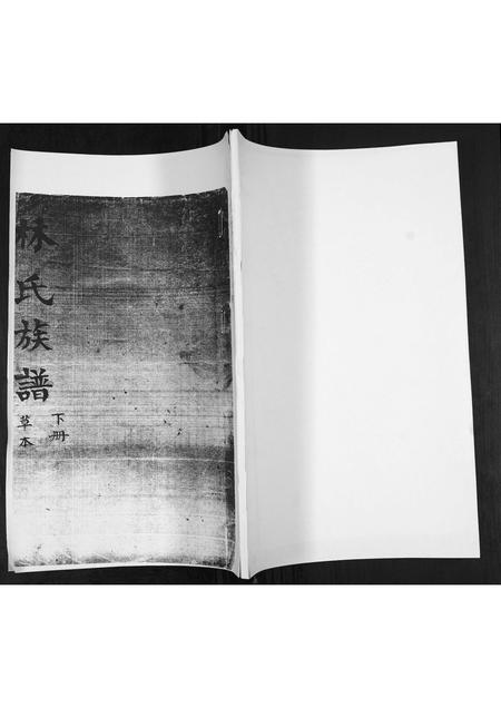 山东林氏-林氏族谱[不分卷].pdf电子版插图
