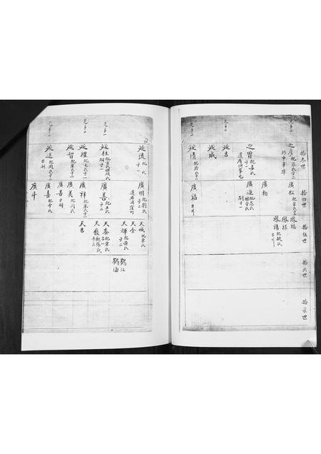 山东林氏-林氏族谱[不分卷].pdf电子版插图1