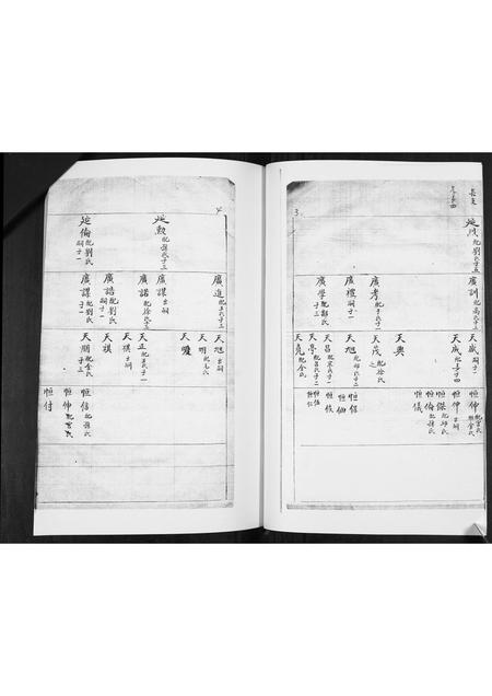 山东林氏-林氏族谱[不分卷].pdf电子版插图2