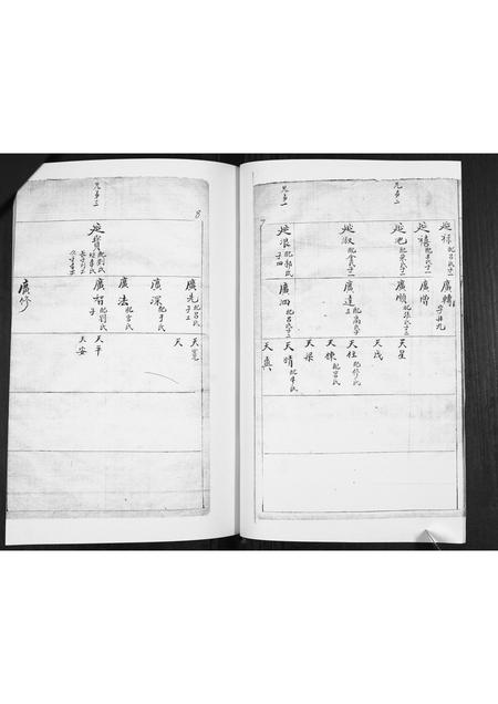 山东林氏-林氏族谱[不分卷].pdf电子版插图4