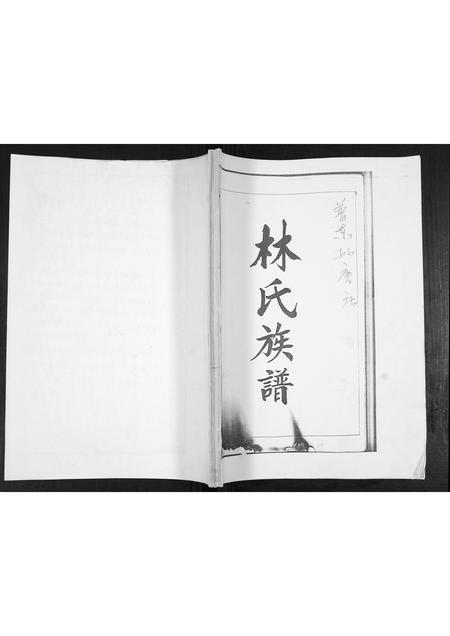 山东林氏-林氏族谱[不分卷].pdf电子版插图