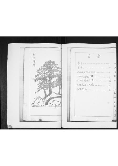 山东林氏-林氏族谱[不分卷].pdf电子版插图3