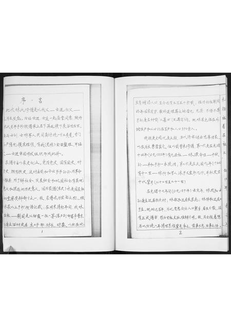 山东林氏-林氏族谱[不分卷].pdf电子版插图4