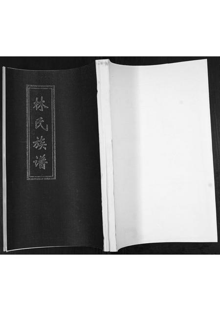 山东林氏-林氏族谱[不分卷].pdf电子版插图