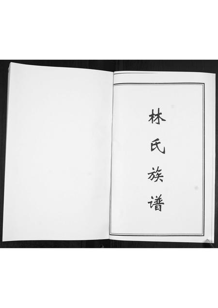 山东林氏-林氏族谱[不分卷].pdf电子版插图1