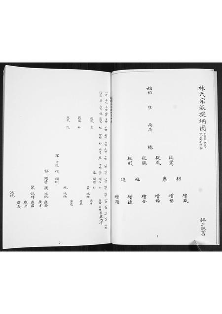 山东林氏-林氏族谱[不分卷].pdf电子版插图5