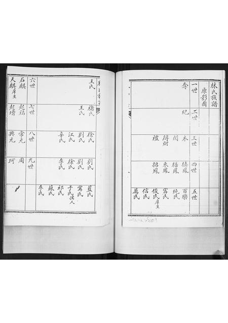 山东林氏-林氏族谱[不分卷].pdf电子版插图5