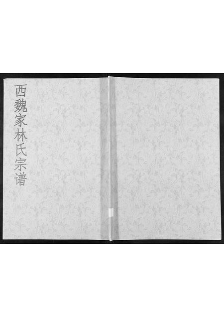 山东林氏-西魏家林氏宗谱[不分卷].pdf电子版插图