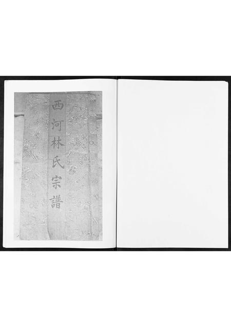 山东林氏-西魏家林氏宗谱[不分卷].pdf电子版插图1