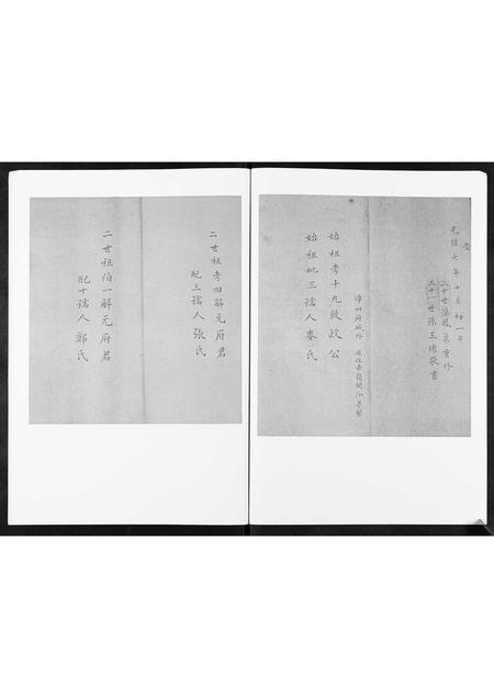 山东林氏-西魏家林氏宗谱[不分卷].pdf电子版插图3
