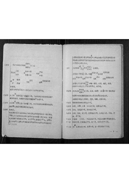 广西林氏-林开运公族谱.pdf电子版插图5