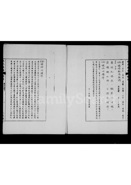 海南林氏-林氏族谱.pdf电子版插图2