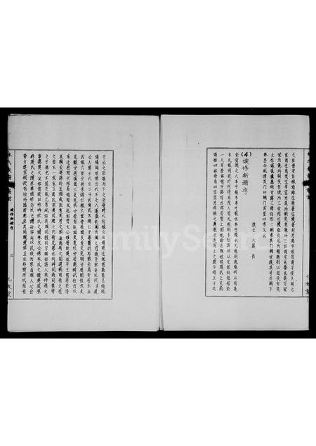 海南林氏-林氏族谱.pdf电子版插图3