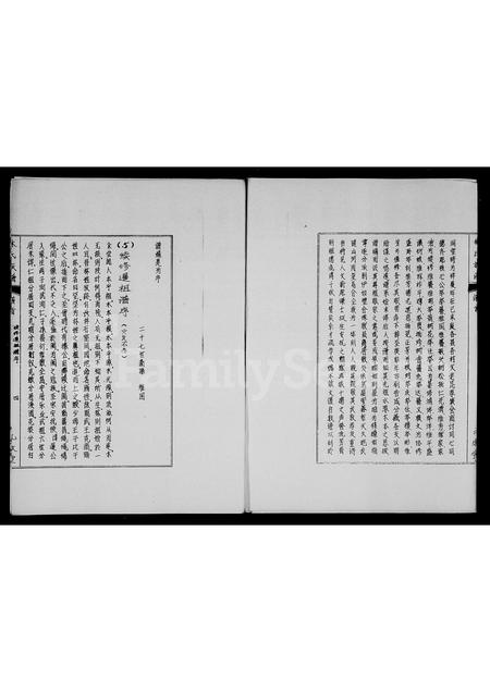 海南林氏-林氏族谱.pdf电子版插图4