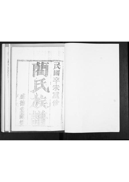 山东蔺氏-蔺氏族谱[不分卷].pdf电子版插图1