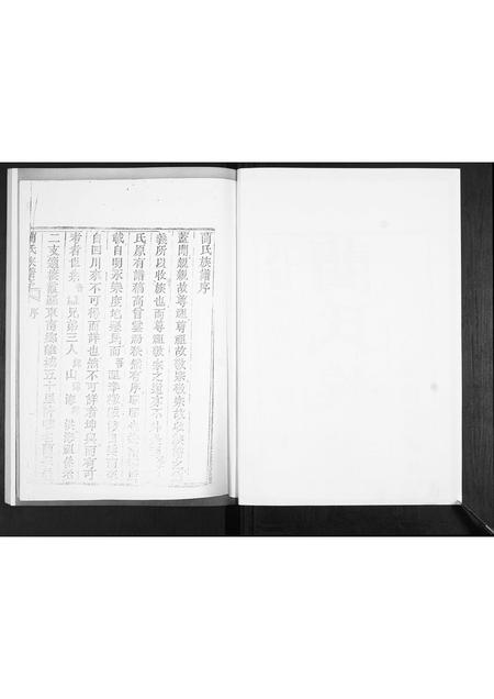 山东蔺氏-蔺氏族谱[不分卷].pdf电子版插图2