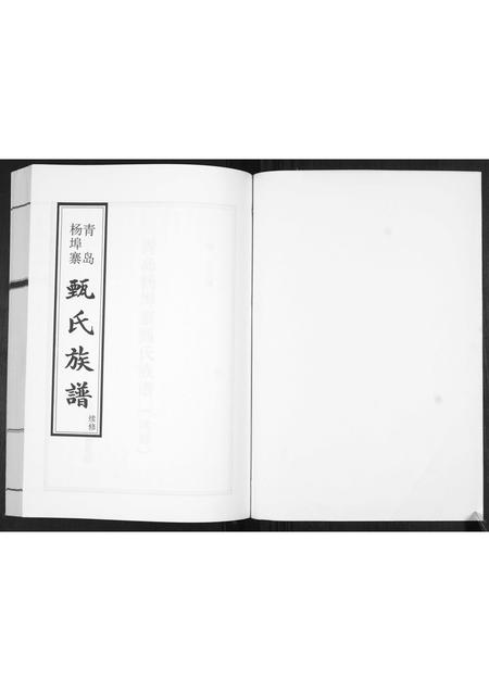 山东蔺氏-蔺氏族谱[不分卷].pdf电子版插图1