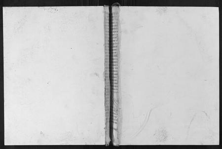 四川刘氏-邻水刘氏宗谱[上下卷].pdf电子版