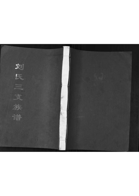 山东刘氏-刘氏三支族谱.pdf电子版插图
