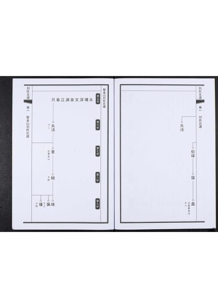 山东刘氏-刘氏家谱.pdf电子版插图5