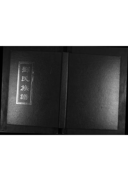 山东刘氏-刘氏族谱.pdf电子版