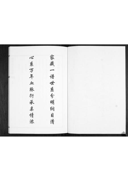 山东刘氏-刘氏族谱.pdf电子版插图3 山东刘氏-刘氏族谱.pdf电子版插图3