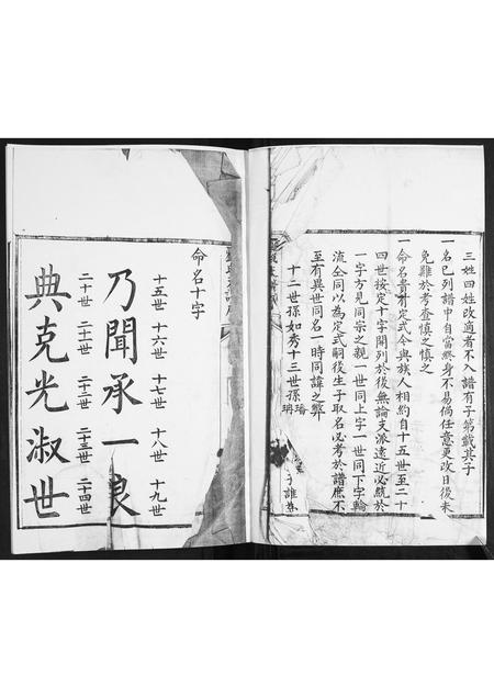 山东刘氏-刘氏族谱.pdf电子版插图1