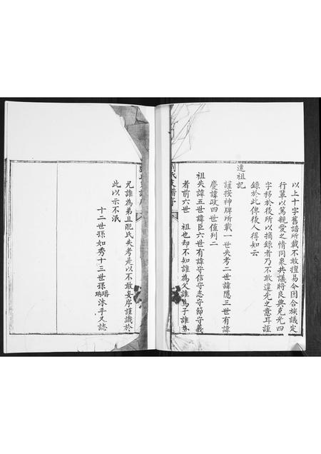 山东刘氏-刘氏族谱.pdf电子版插图2