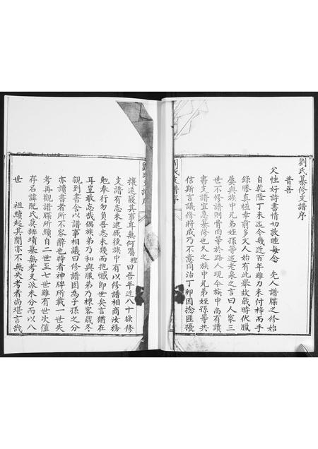 山东刘氏-刘氏族谱.pdf电子版插图3