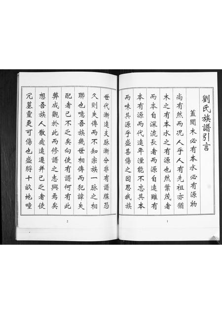 山东刘氏-刘氏族谱.pdf电子版插图1