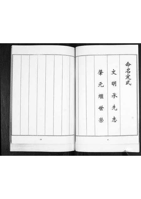 山东刘氏-刘氏族谱.pdf电子版插图5