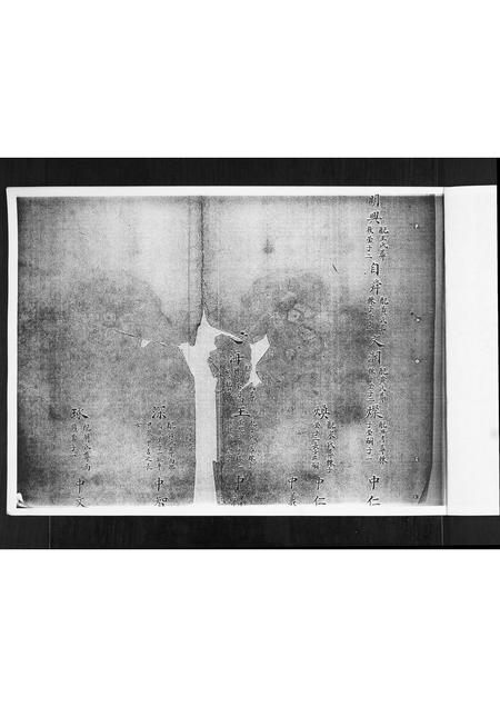 山东刘氏-刘氏族谱.pdf电子版插图2