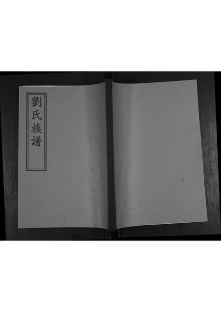 山东刘氏-刘氏族谱.pdf电子版插图 山东刘氏-刘氏族谱.pdf电子版插图