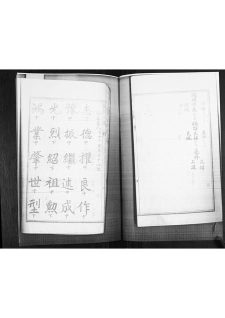 山东刘氏-刘氏族谱.pdf电子版插图5