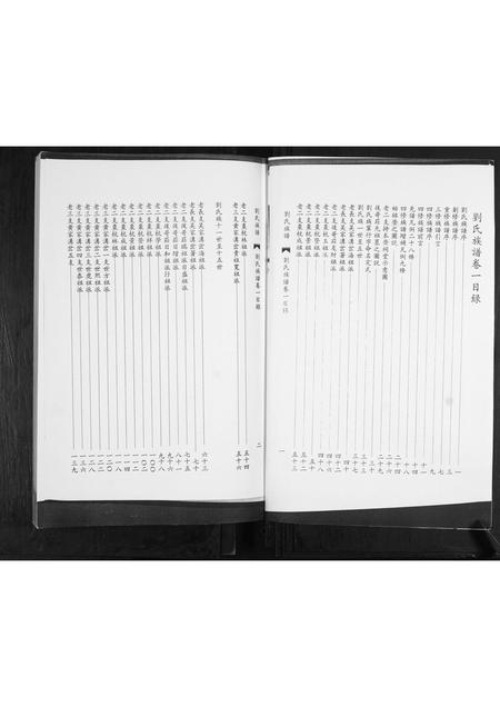 山东刘氏-刘氏族谱.pdf电子版插图2