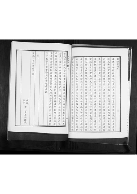 山东刘氏-刘氏族谱.pdf电子版插图4