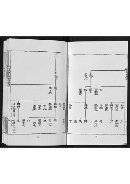 山东刘氏-刘氏族谱.pdf电子版插图3