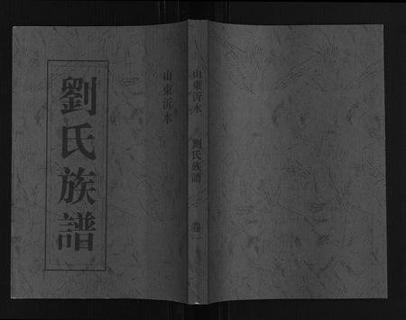 山东刘氏-刘氏族谱.pdf电子版插图