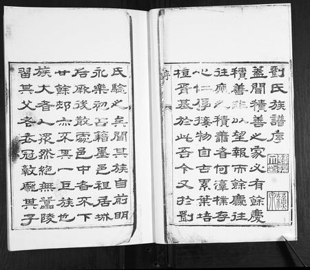 山东刘氏-刘氏族谱[4卷].pdf电子版插图2