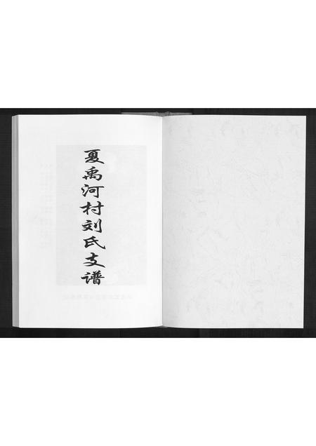 山东刘氏-夏禹河村刘氏支谱[不分卷].pdf电子版插图1