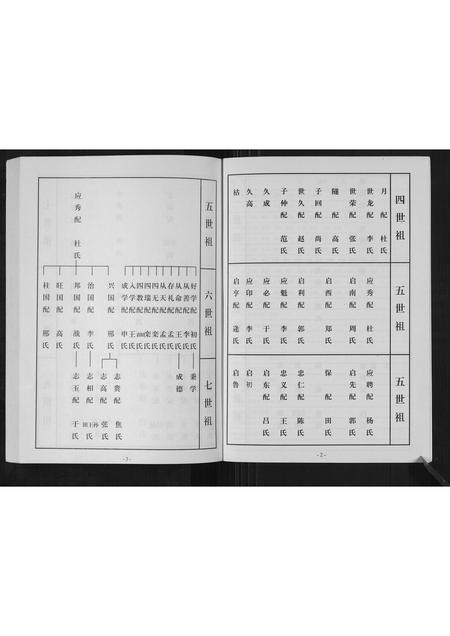 山东刘氏-杜家刘氏族谱[不分卷].pdf电子版插图4